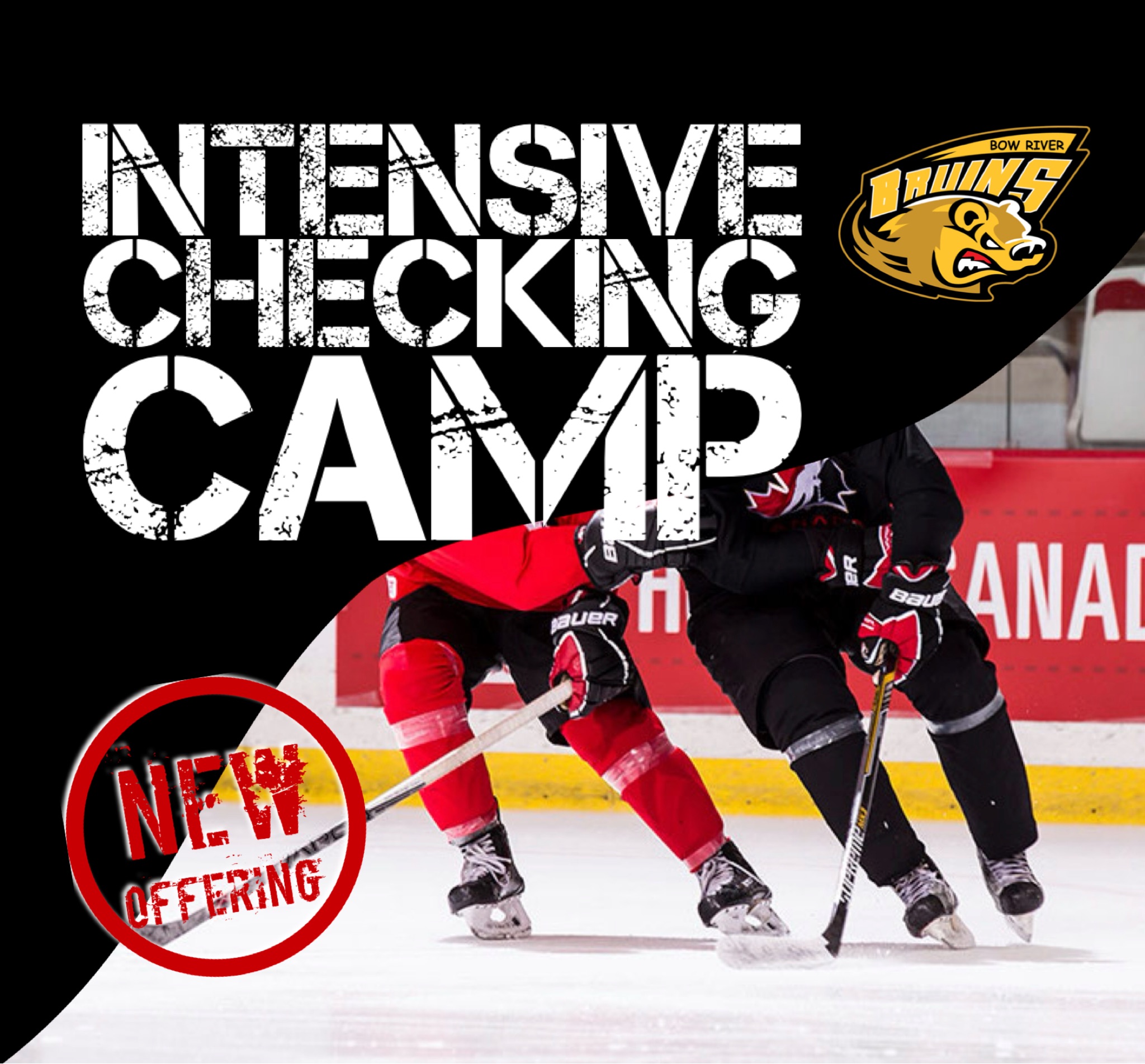 CHECKING-CAMP.jpg CHECKING-CAMP.jpg