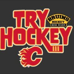 TryHockeyBruins