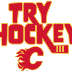 TryItHockey