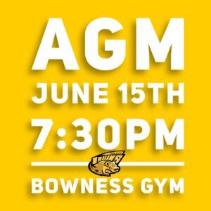 agm graphic